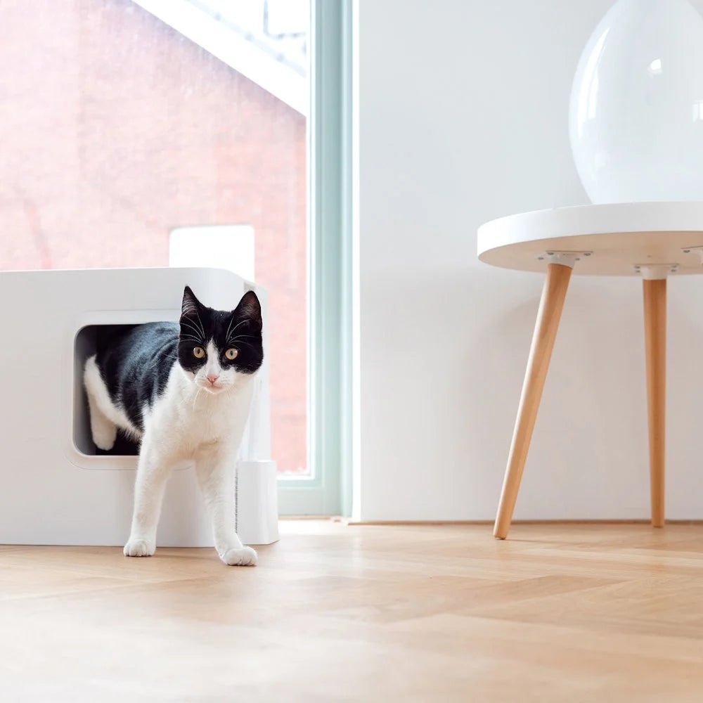 Dome |Bac à litière blanc design fermé pour chat - Jean - Poil - 