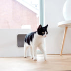 Dome |Bac à litière blanc design fermé pour chat - Jean - Poil - 