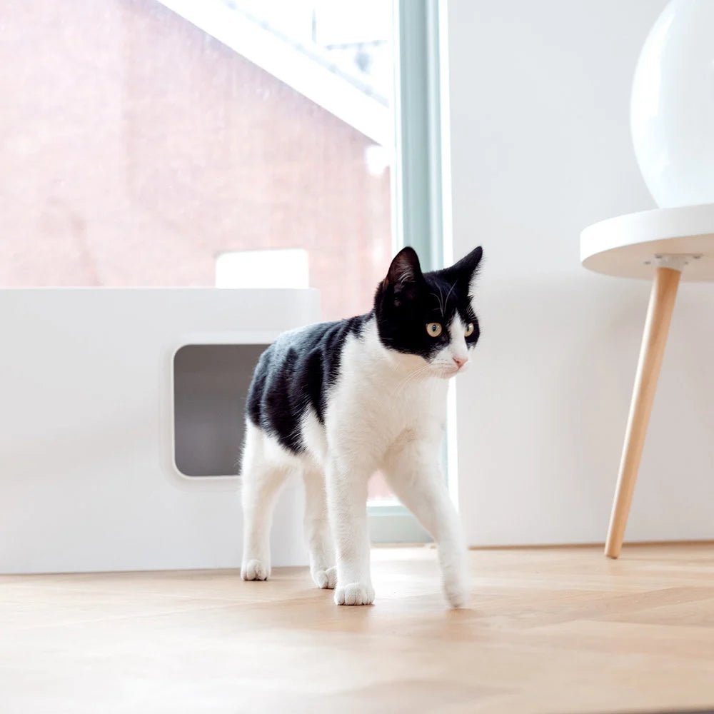 Dome |Bac à litière blanc design fermé pour chat - Jean - Poil - 