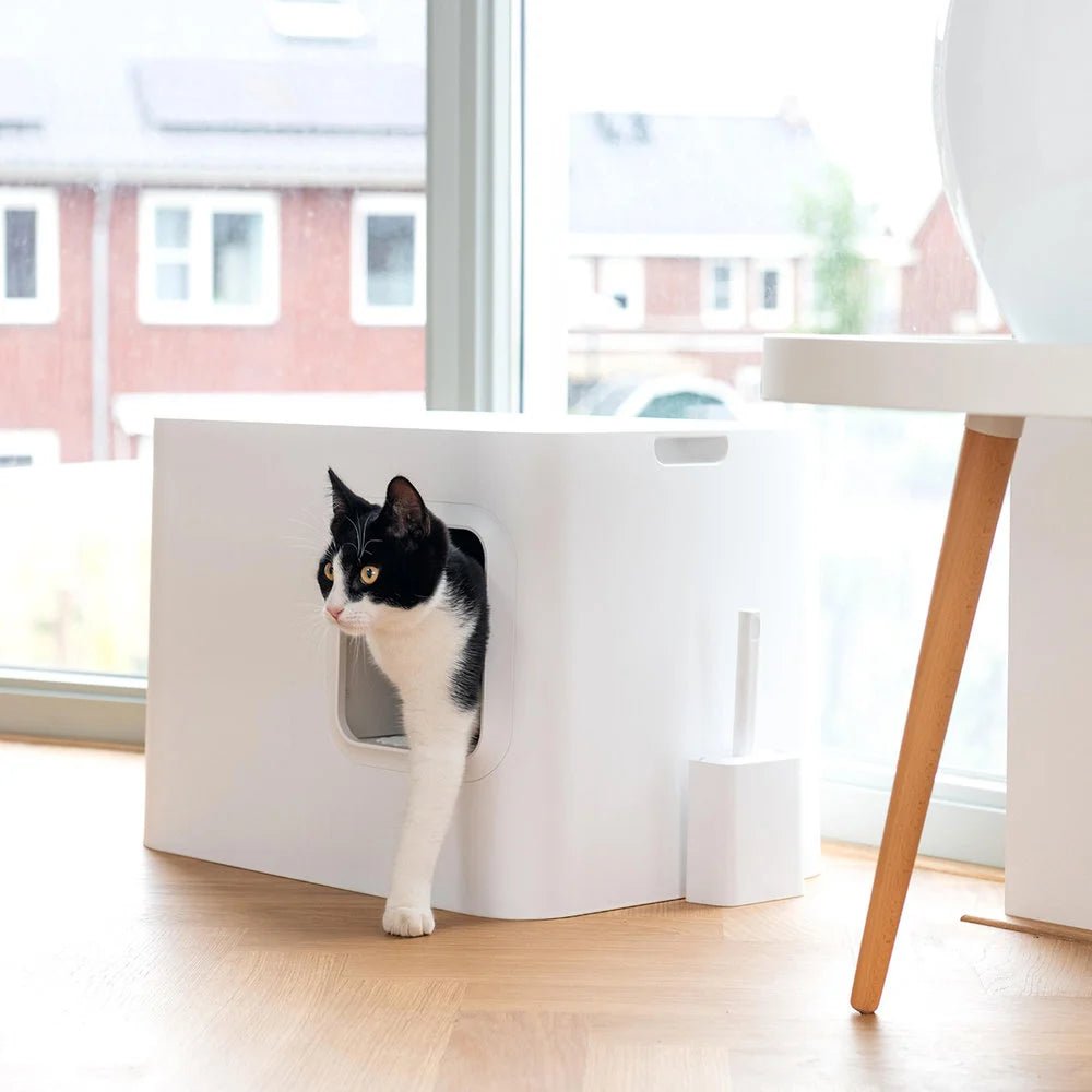 Dome |Bac à litière blanc design fermé pour chat - Jean - Poil - 