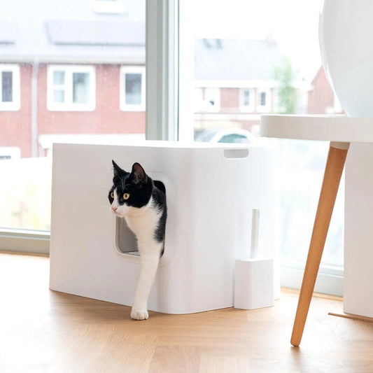Dome |Bac à litière blanc design fermé pour chat - Jean - Poil - 