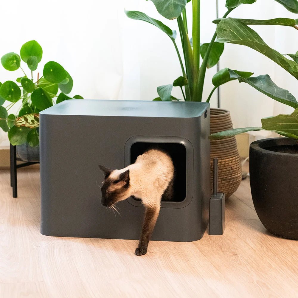 Dome |Bac à litière noir design fermé pour chat - Jean - Poil - 