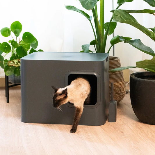 Dome |Bac à litière noir design fermé pour chat - Jean - Poil - 