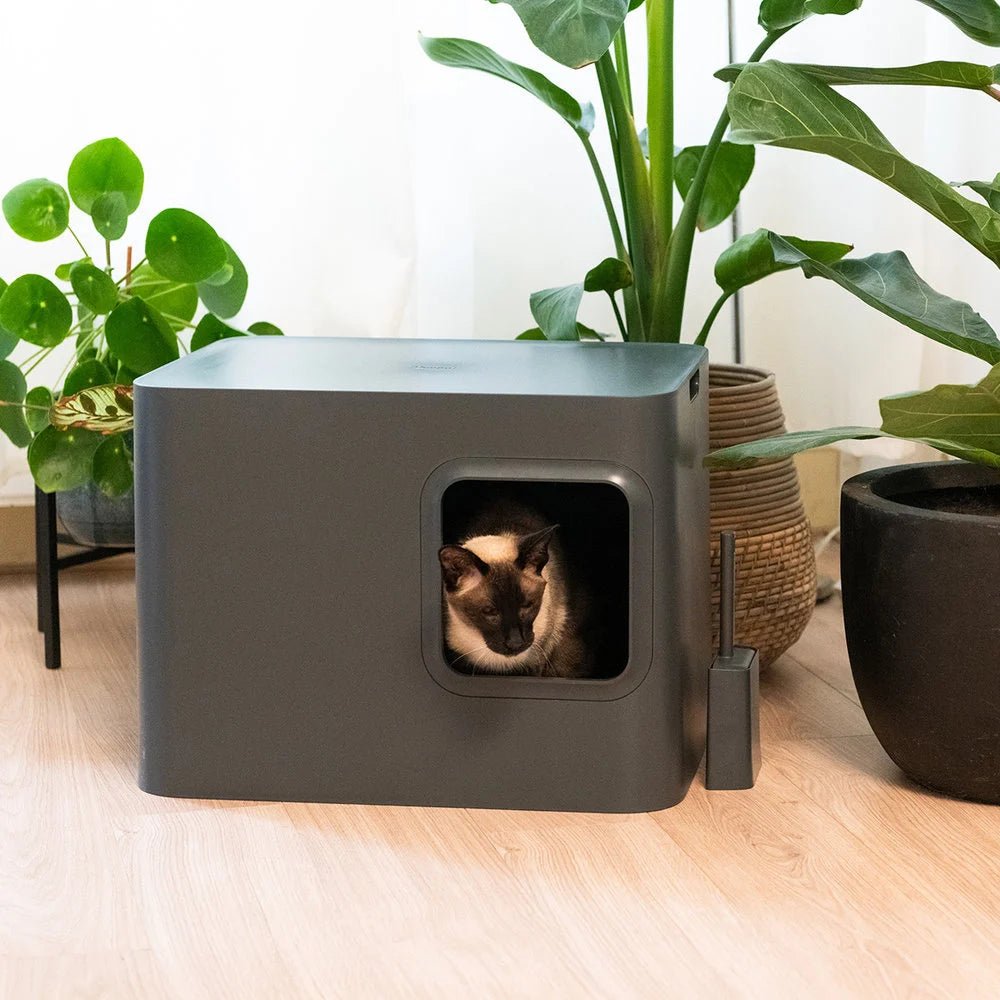 Dome |Bac à litière noir design fermé pour chat - Jean - Poil - 