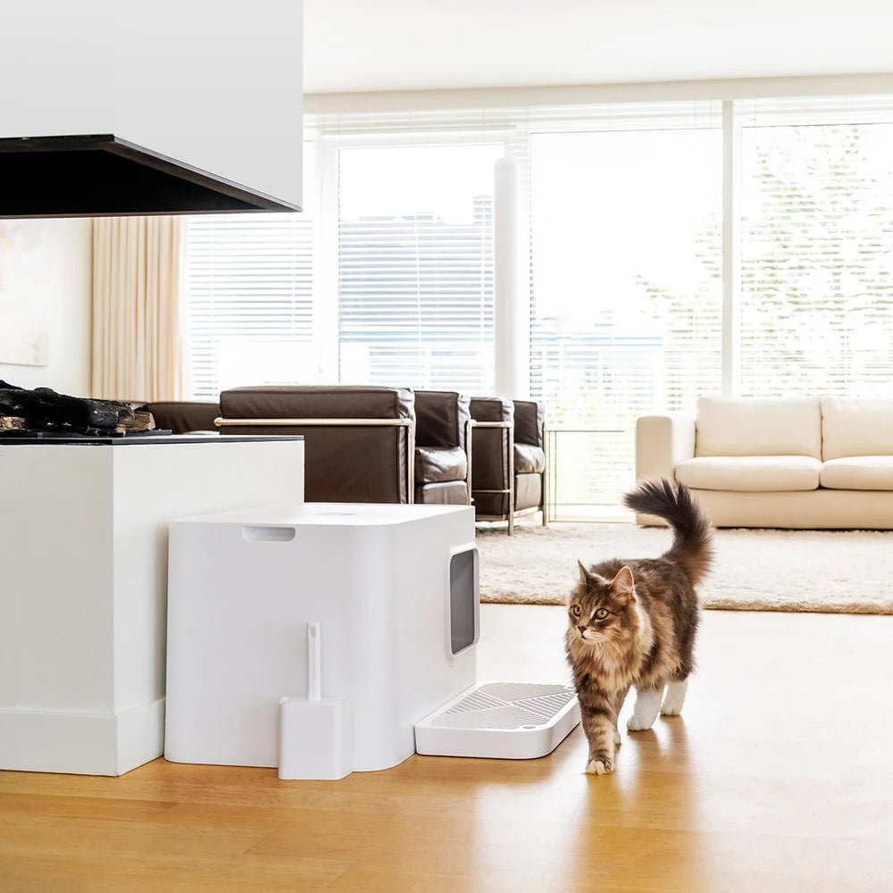 Dome plus | Bac à litière blanc design avec plateau anti - gravillons - Jean - Poil - 