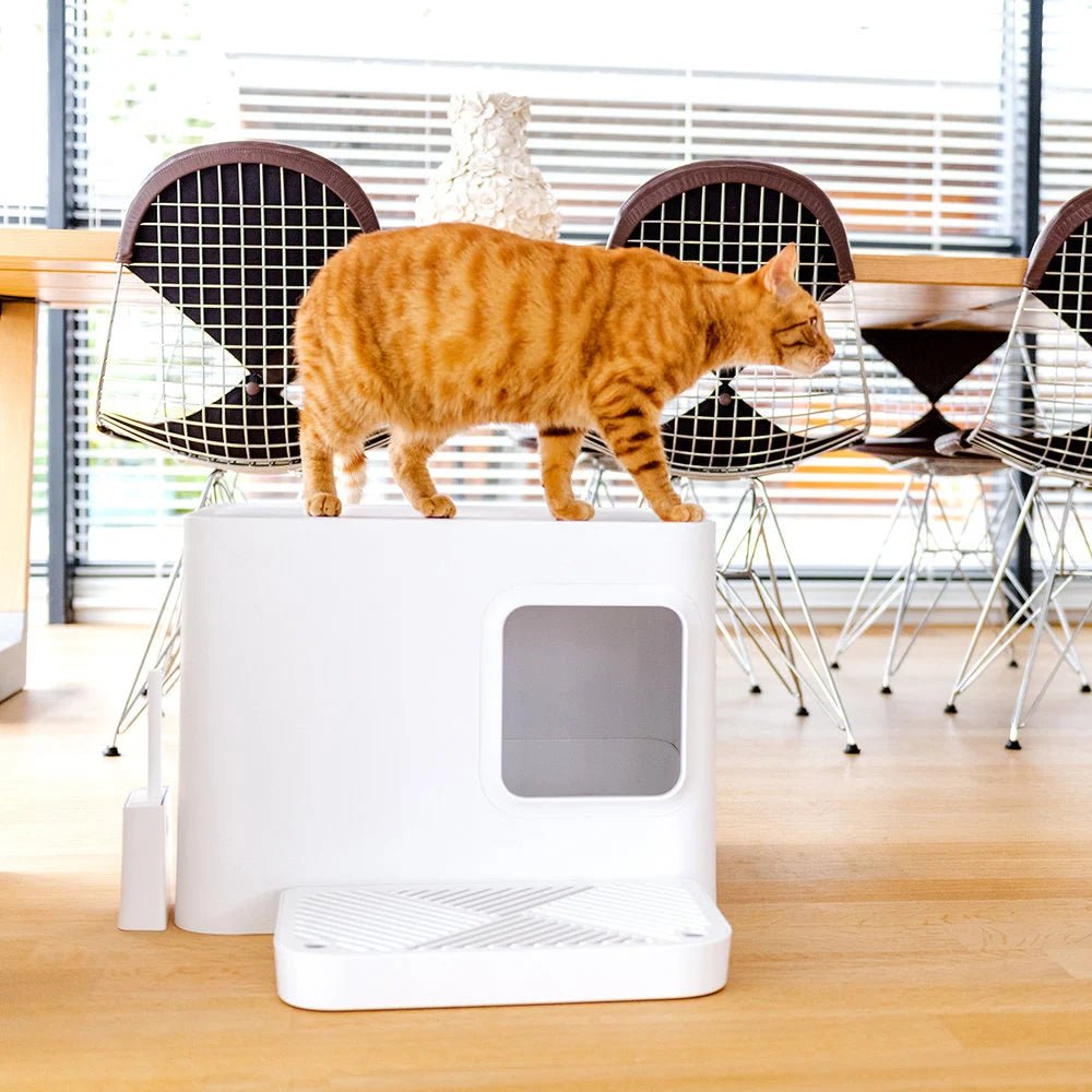 Dome plus | Bac à litière blanc design avec plateau anti - gravillons - Jean - Poil - 