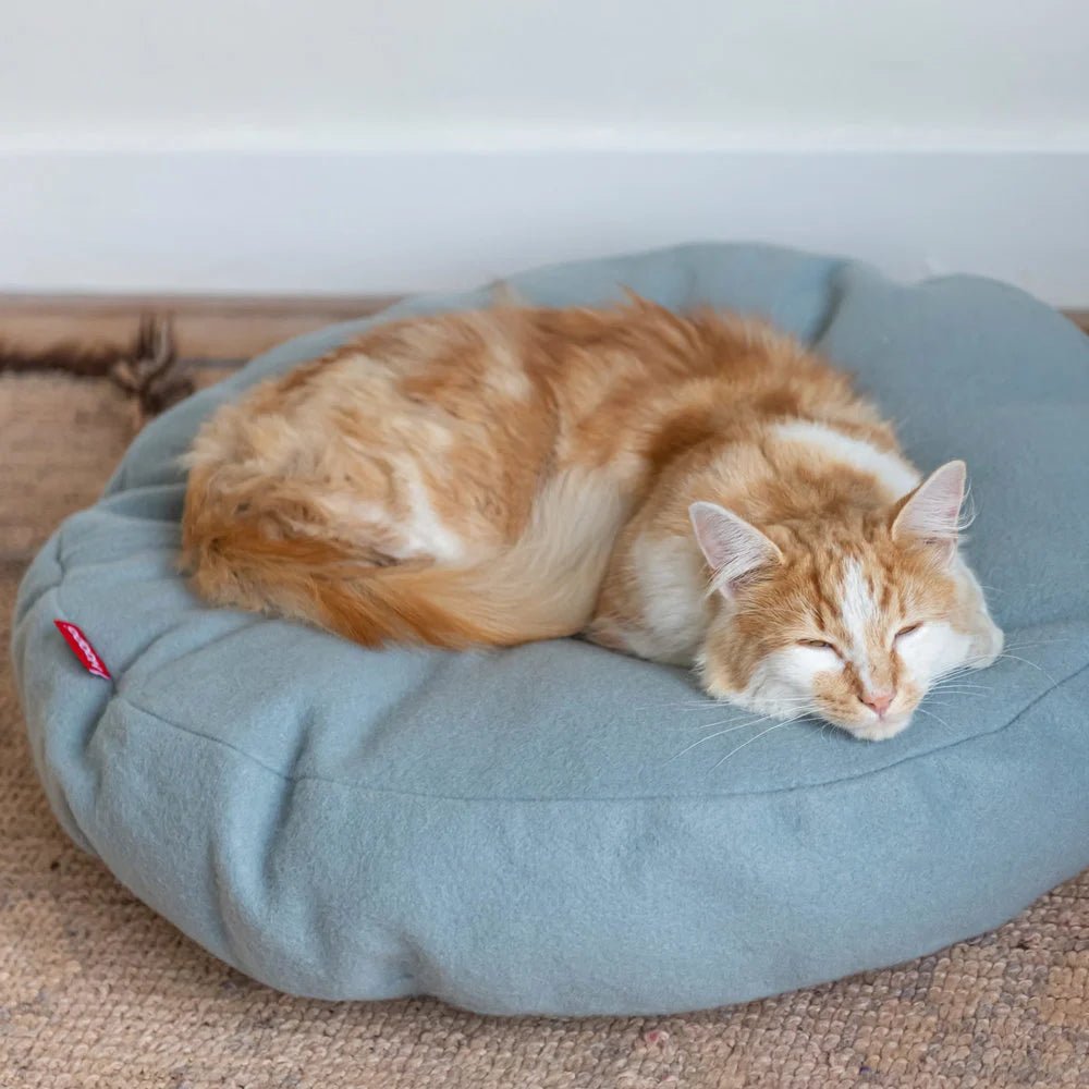 Donut | Lit donut pour chat doux et lavable, plusieurs coloris - Jean - Poil - Vert clair