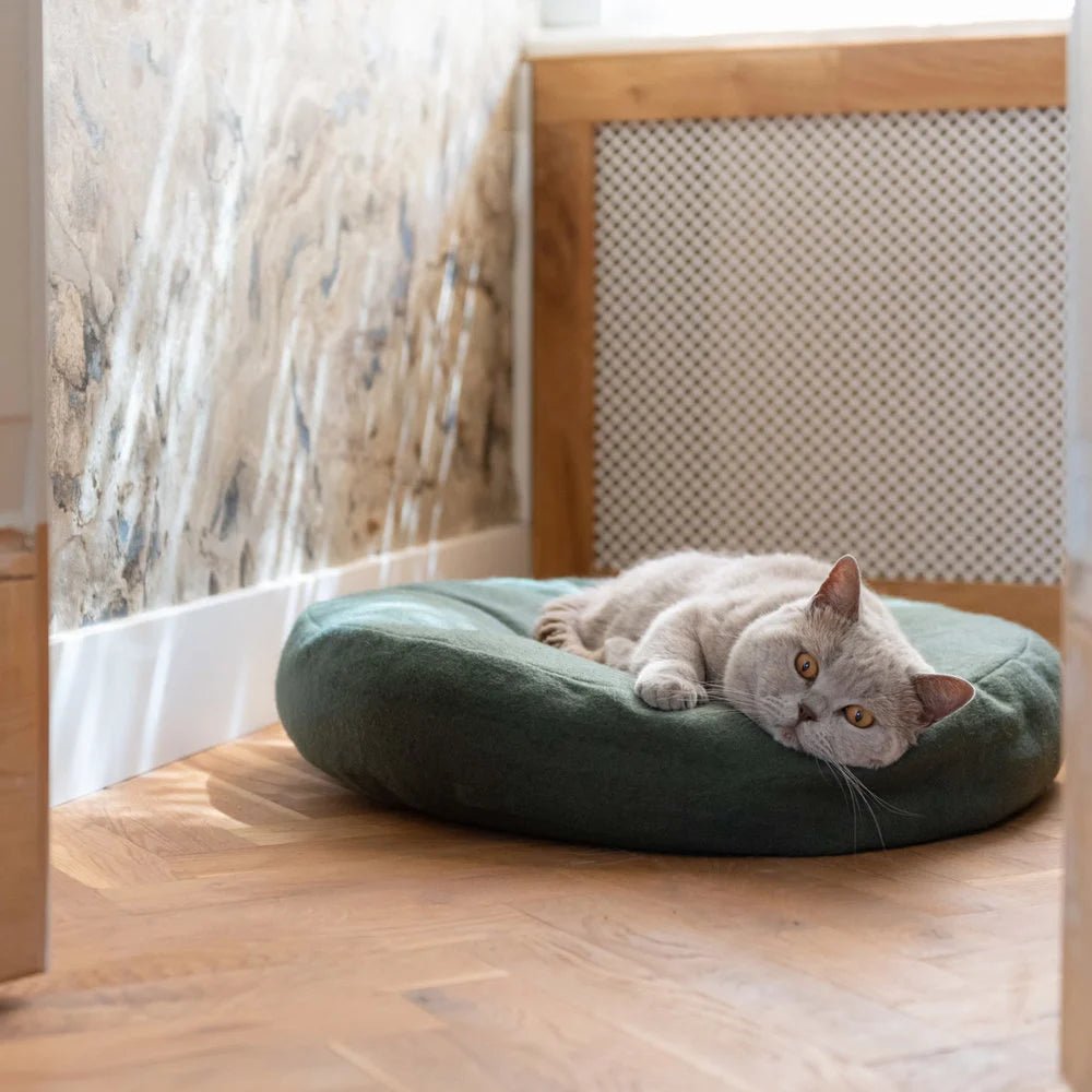 Donut | Lit donut pour chat doux et lavable, plusieurs coloris - Jean - Poil - Vert clair
