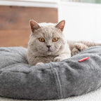 Donut | Lit donut pour chat doux et lavable, plusieurs coloris - Jean - Poil - Vert clair