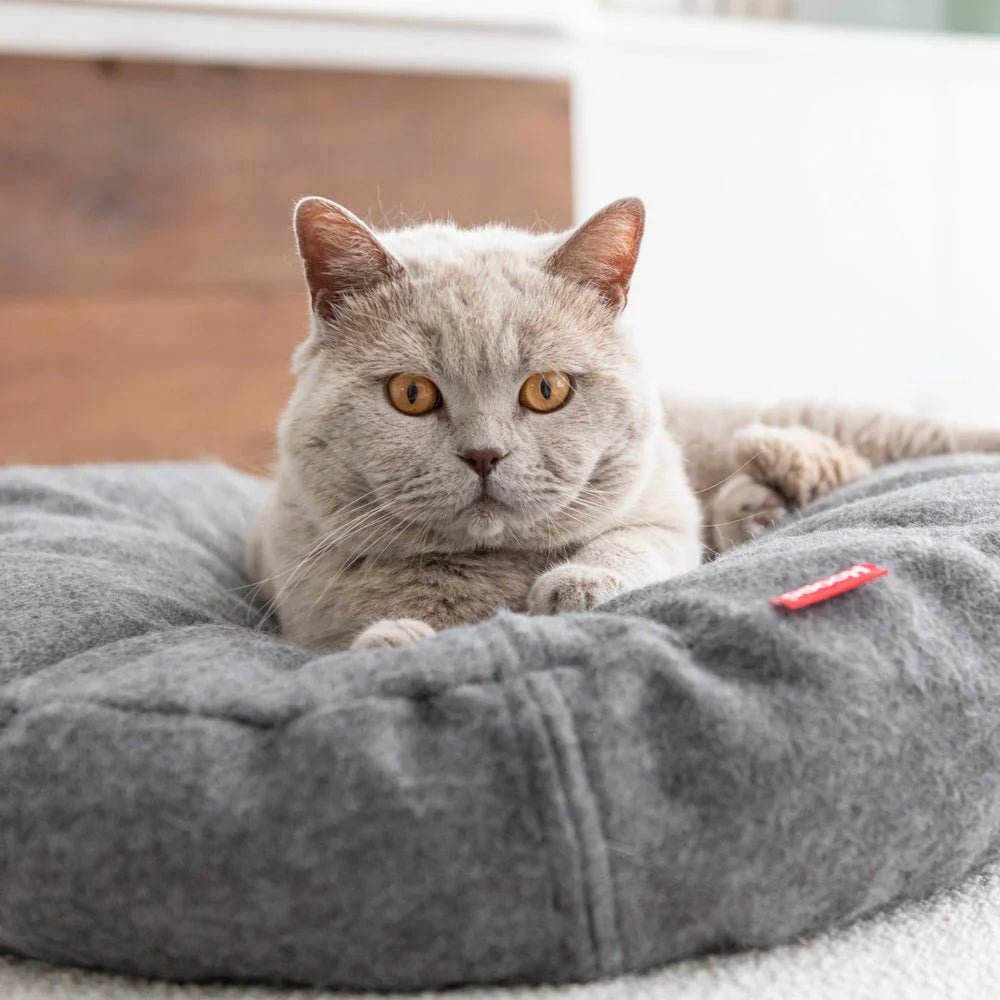 Donut | Lit donut pour chat doux et lavable, plusieurs coloris - Jean - Poil - Vert clair