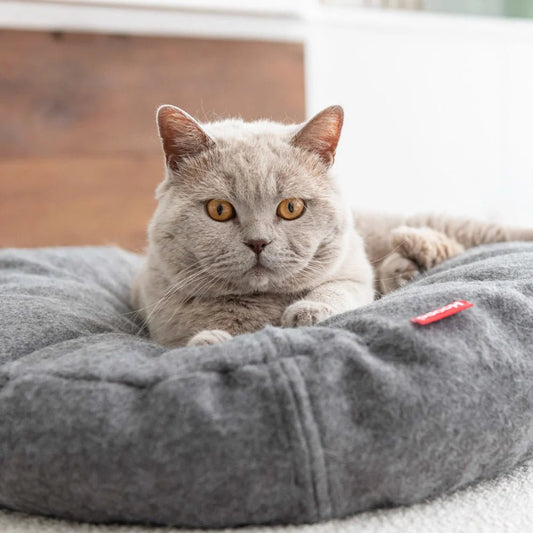 Donut | Lit donut pour chat doux et lavable, plusieurs coloris - Jean - Poil - Vert clair