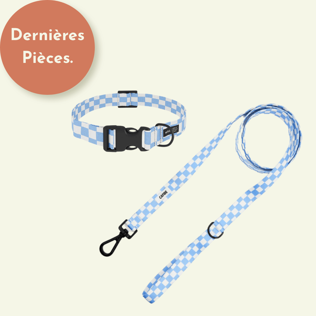 Ensemble Juno | Collier + laisse pour chien en tissu recyclé PET vichy bleu - Jean - Poil - 2XS