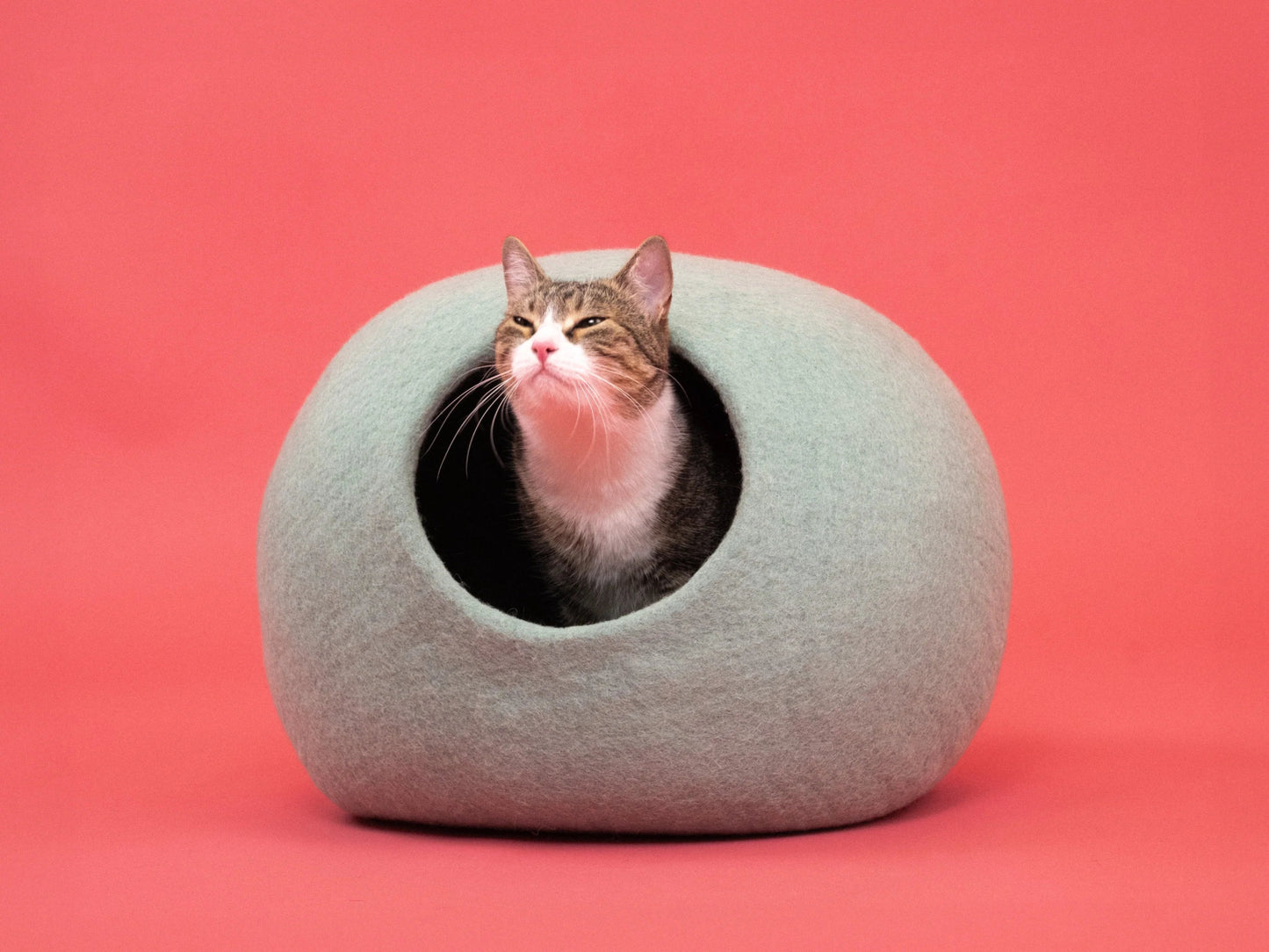 Fine | Grotte pour chat en feutre de laine naturelle - Vert sauge - Jean - Poil - 