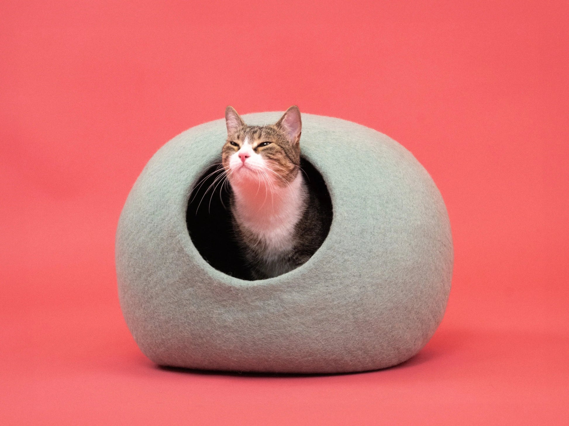 Fine | Grotte pour chat en feutre de laine naturelle - Vert sauge - Jean - Poil - 