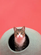 Fine | Grotte pour chat en feutre de laine naturelle - Vert sauge - Jean - Poil - 