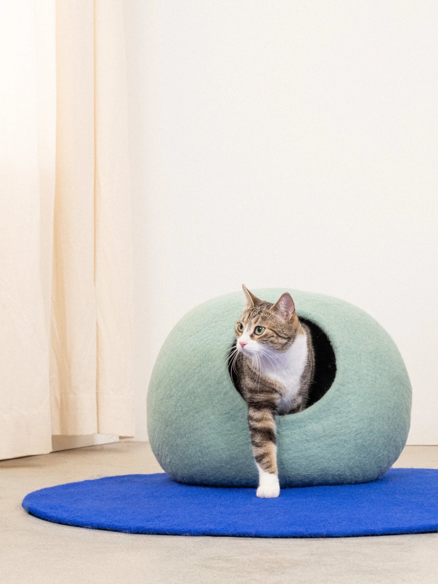 Fine | Grotte pour chat en feutre de laine naturelle - Vert sauge - Jean - Poil - 