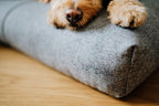 Finno | Coussin design pour chien déhoussable - Jean - Poil - Beige