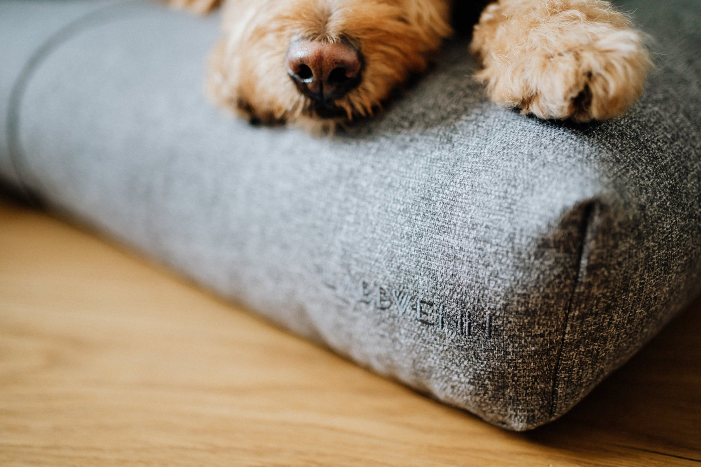 Finno | Coussin design pour chien déhoussable - Jean - Poil - Beige