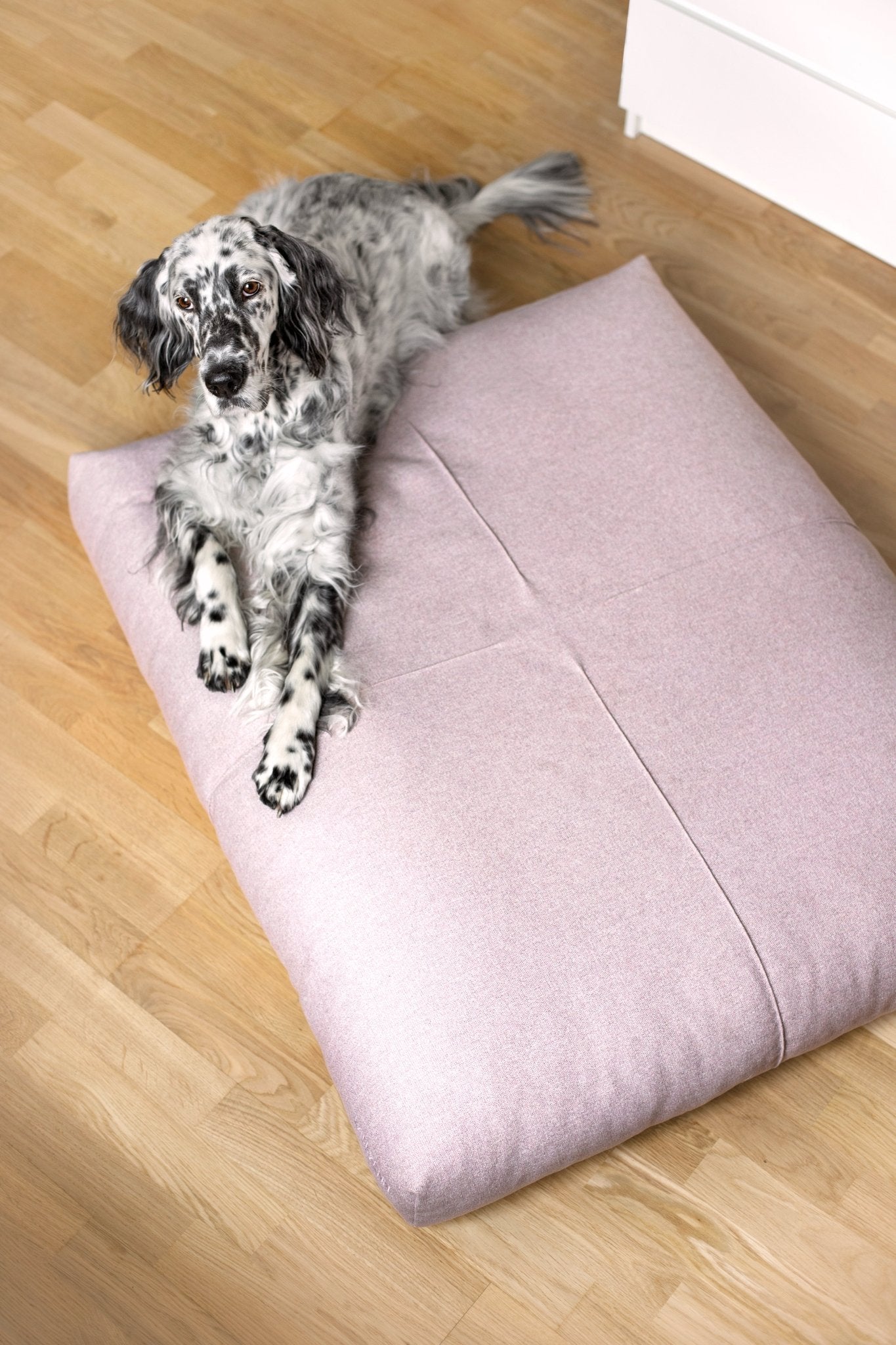 Finno | Coussin design pour chien déhoussable - Jean - Poil - Beige