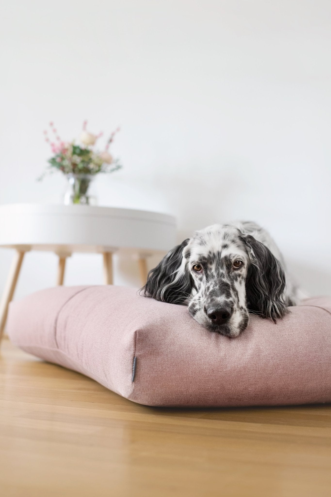 Finno | Coussin design pour chien déhoussable - Jean - Poil - Beige