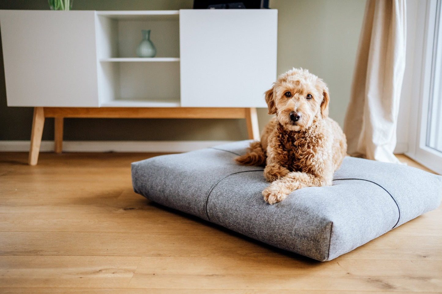 Finno | Coussin design pour chien déhoussable - Jean - Poil - Beige