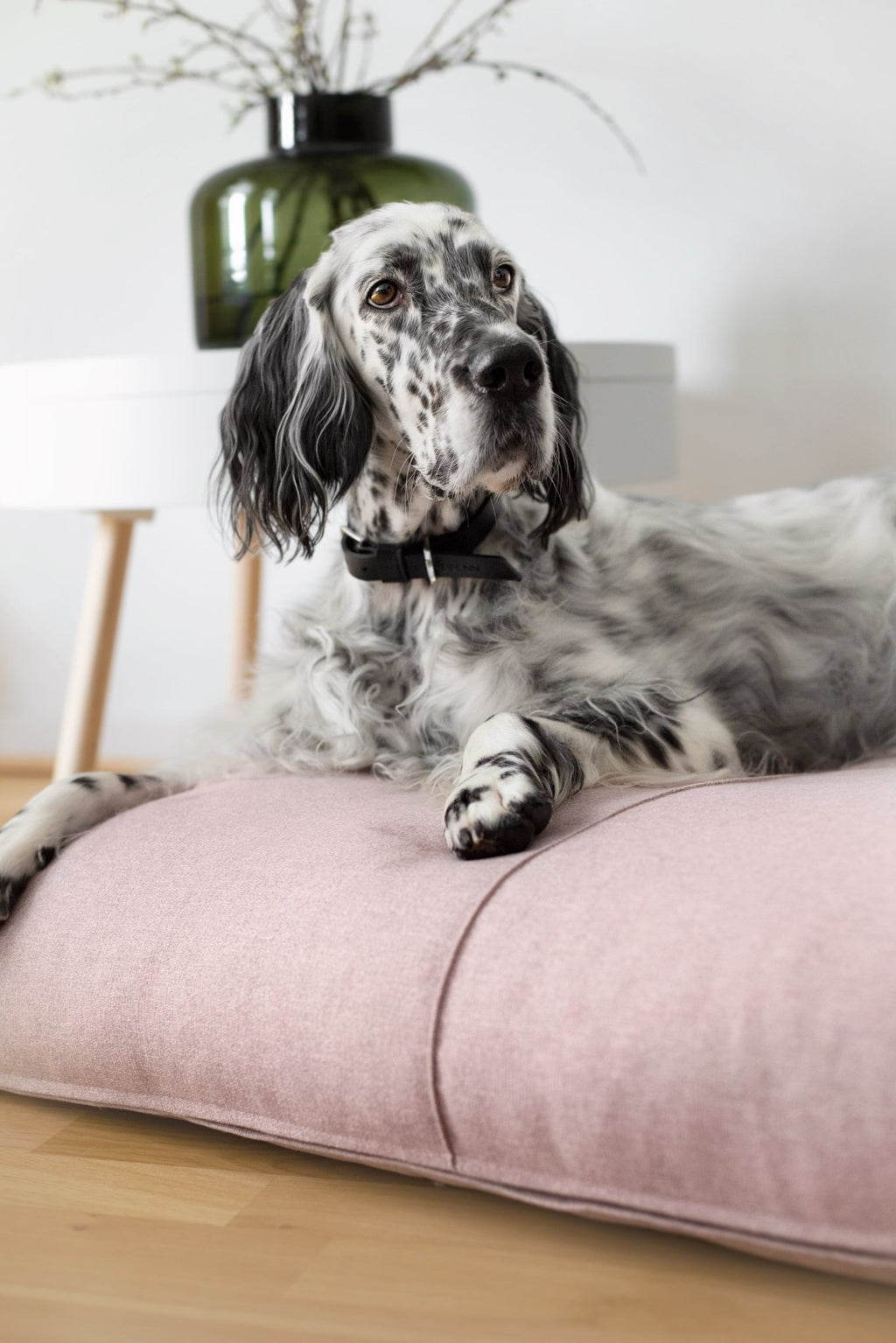 Finno | Coussin design pour chien déhoussable - Jean - Poil - Beige
