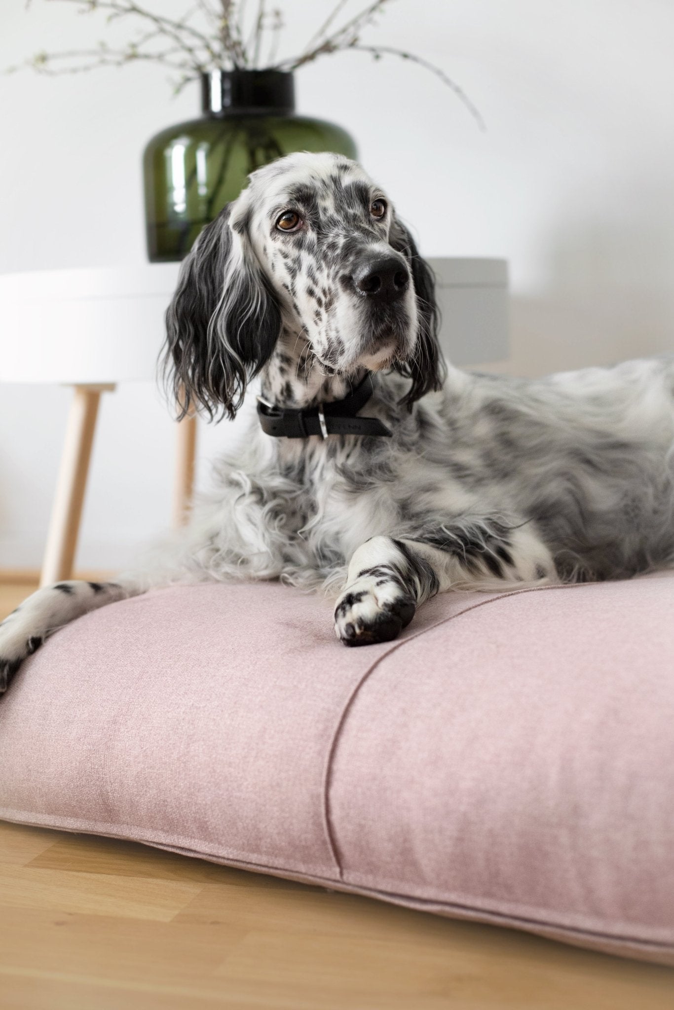 Finno | Coussin design pour chien déhoussable - Jean - Poil - Beige