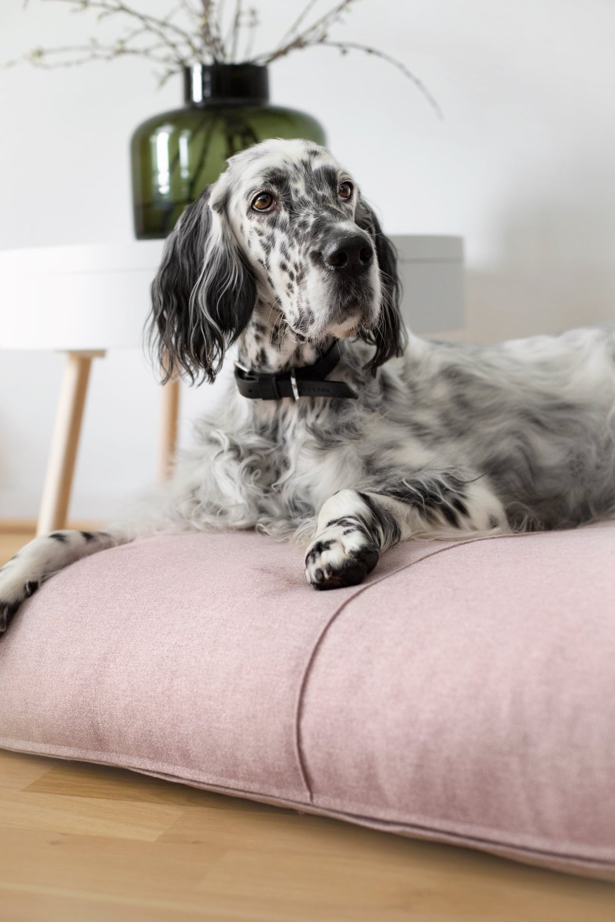 Finno | Coussin design pour chien déhoussable - Jean - Poil - Beige