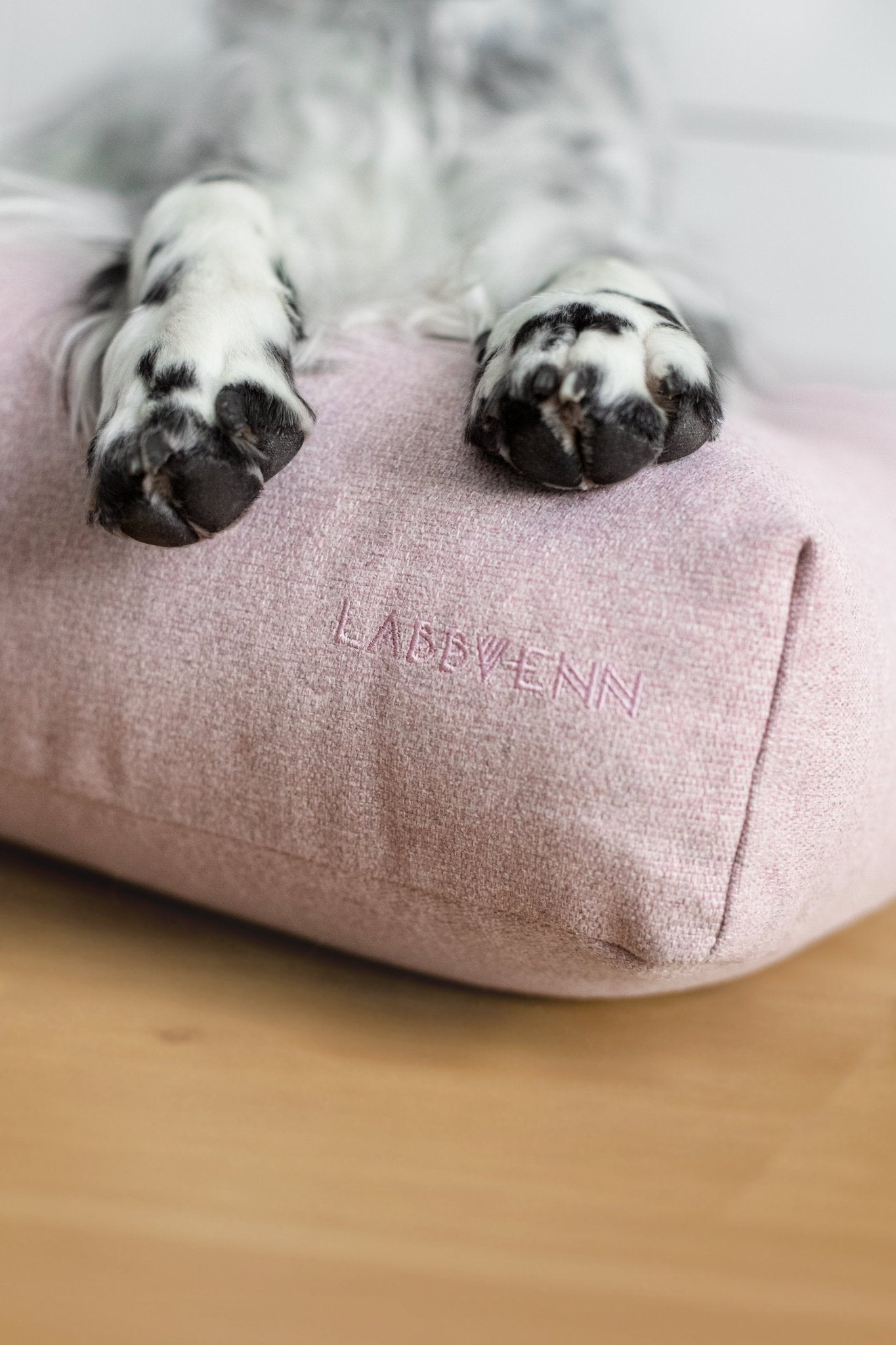 Finno | Coussin design pour chien déhoussable - Jean - Poil - Beige