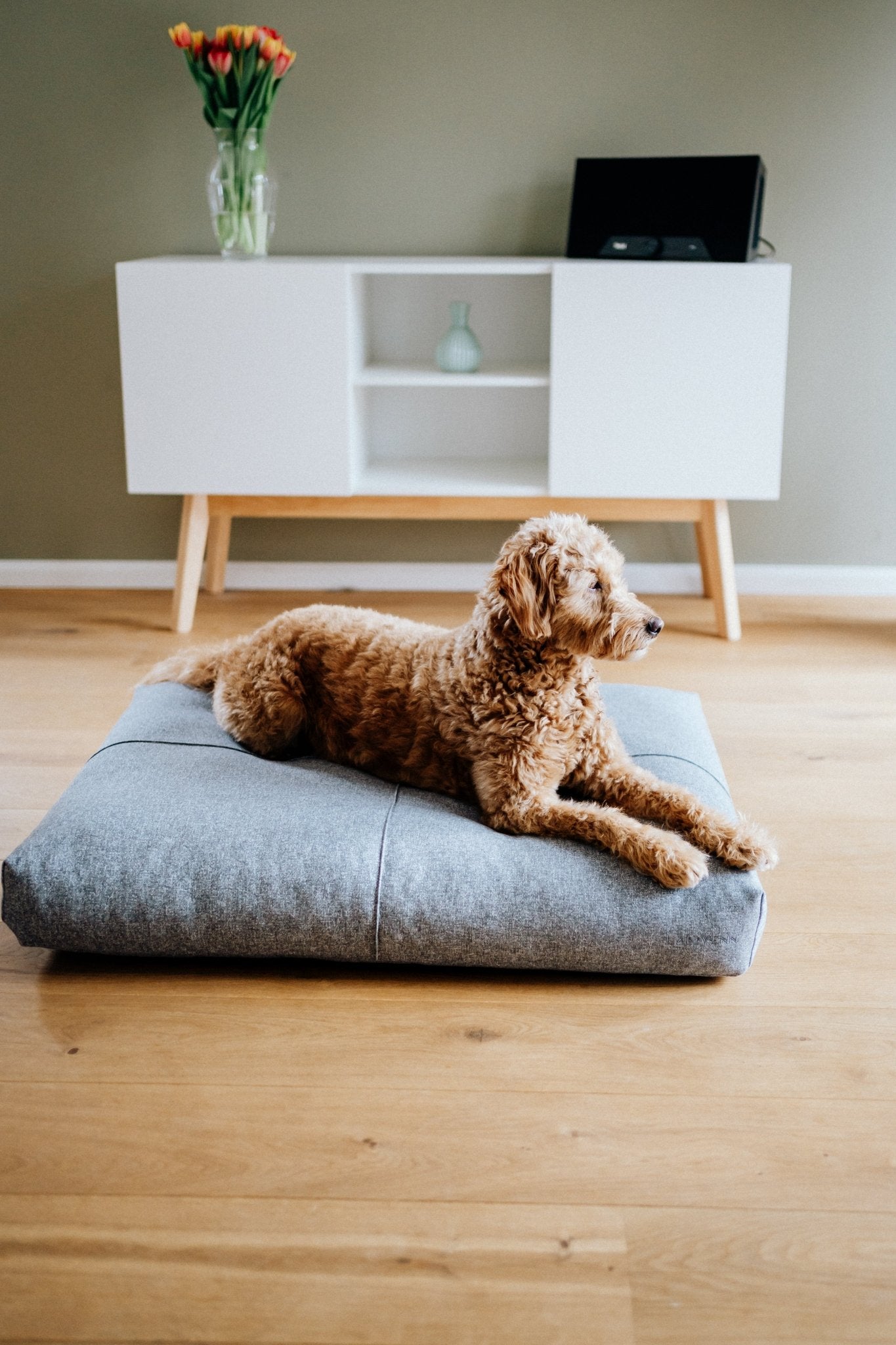 Finno | Coussin design pour chien déhoussable - Jean - Poil - Beige