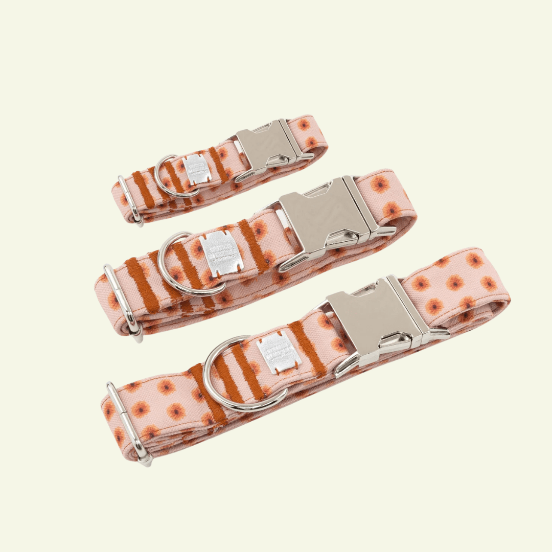 Fleur | Collier pour chien à fleurs, fait main - Jean - Poil - XS