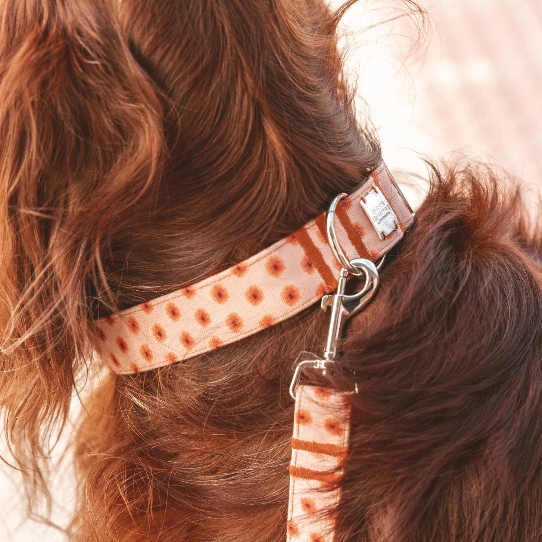 Fleur | Collier pour chien à fleurs, fait main - Jean - Poil - XS