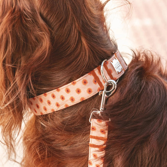 Fleur | Collier pour chien à fleurs, fait main - Jean - Poil - XS