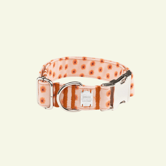 Fleur | Collier pour chien à fleurs, fait main - Jean - Poil - XS