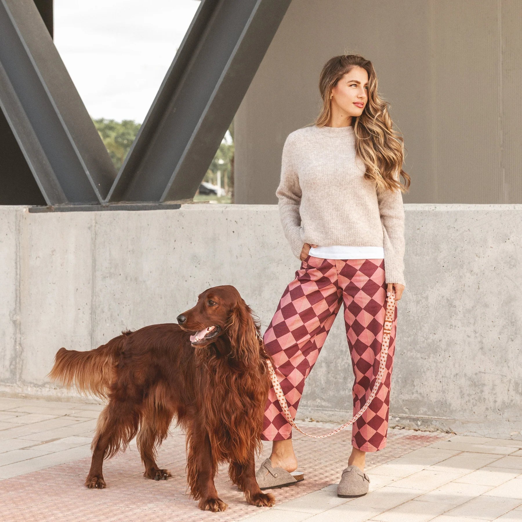 Fleur | Laisse pour chien à fleurs - ville & multipositions, fait main - Jean - Poil - M