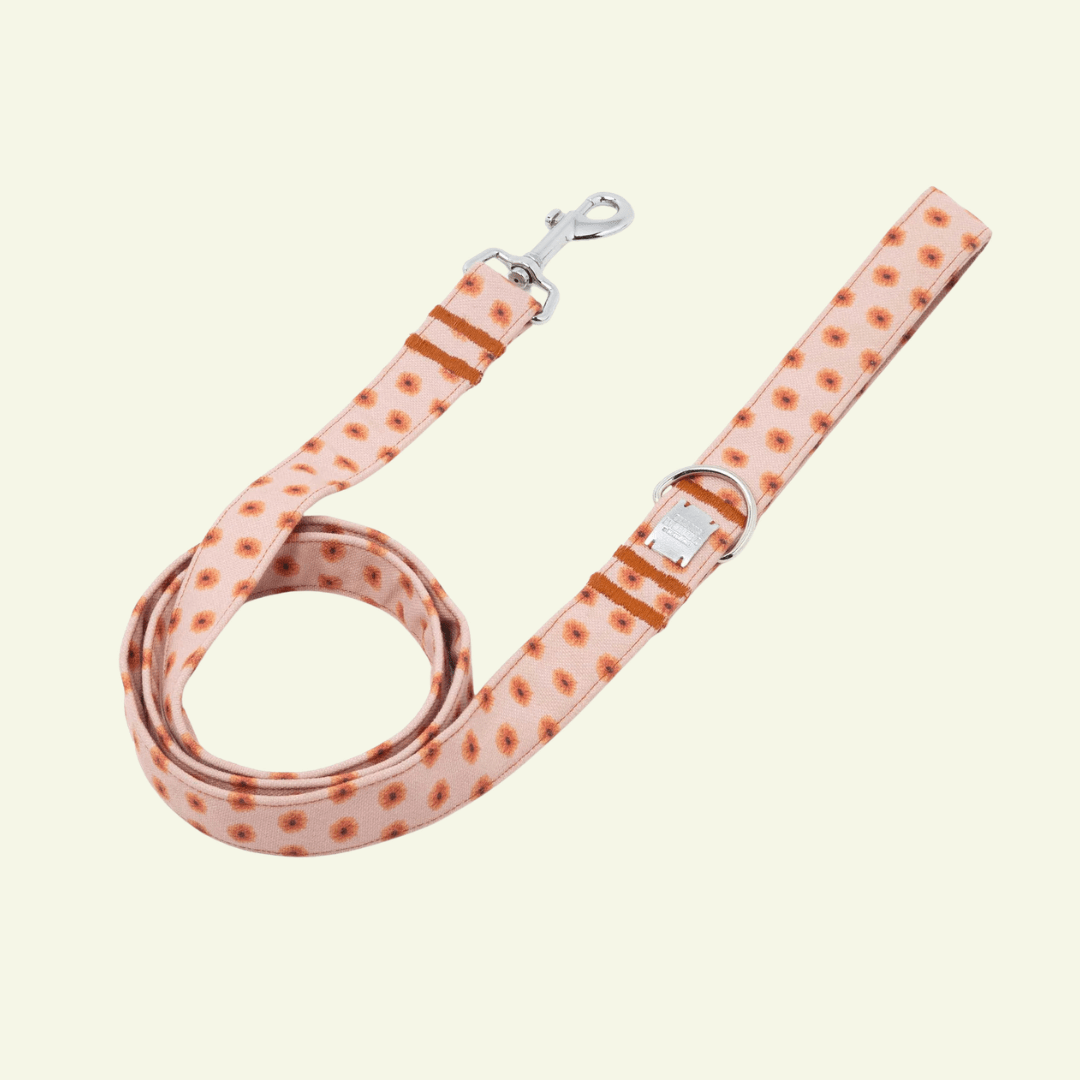 Fleur | Laisse pour chien à fleurs - ville & multipositions, fait main - Jean - Poil - M
