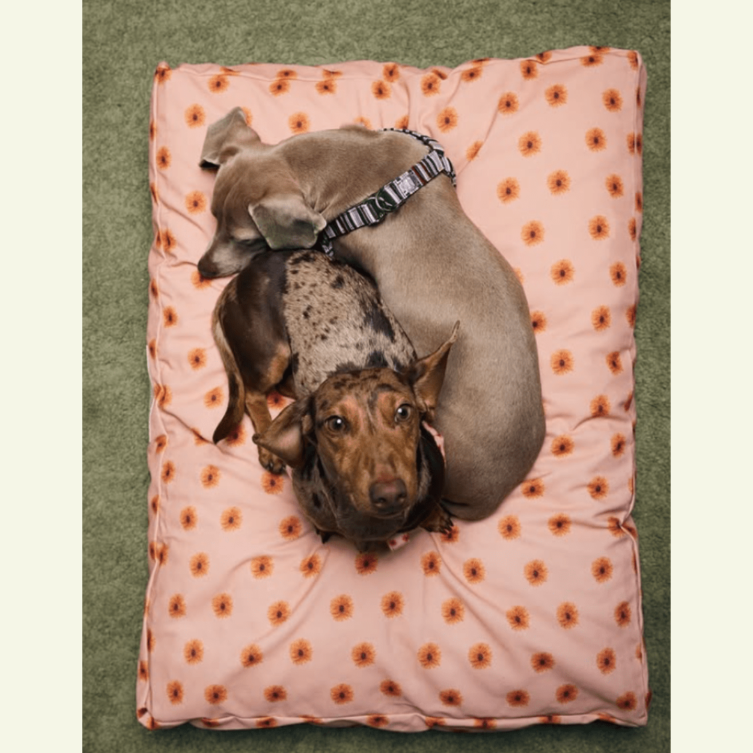 Fleur | Matelas déhoussable pour chien à fleurs - Jean - Poil - 