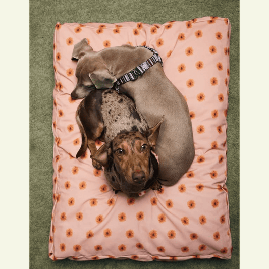 Fleur | Matelas déhoussable pour chien à fleurs - Jean - Poil - 