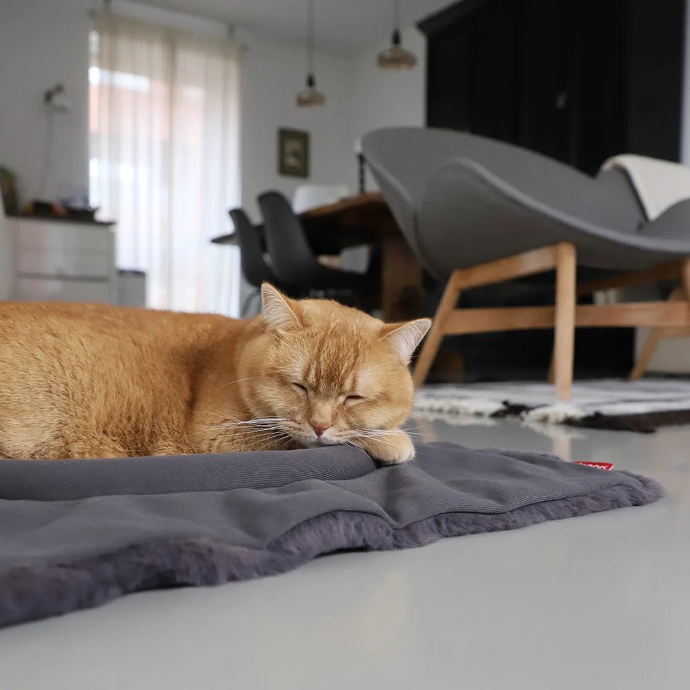 Flip | Lit modulable pour chat réversible - Jean - Poil - Gris clair