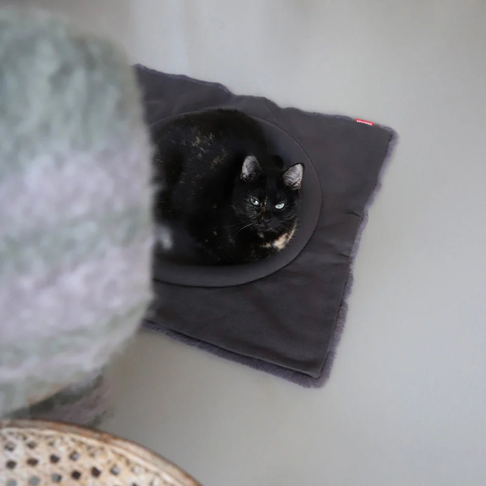 Flip | Lit modulable pour chat réversible - Jean - Poil - Gris clair