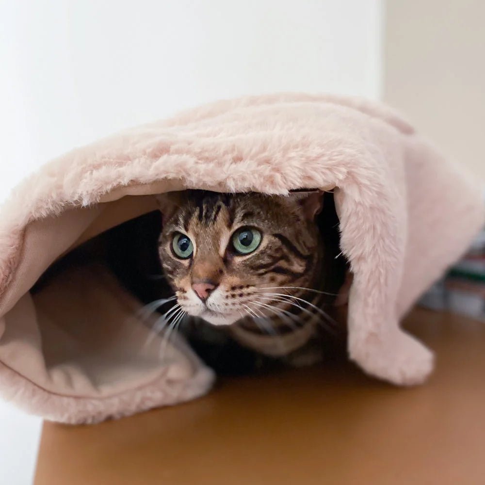 Flip | Lit modulable pour chat réversible - Jean - Poil - Gris clair