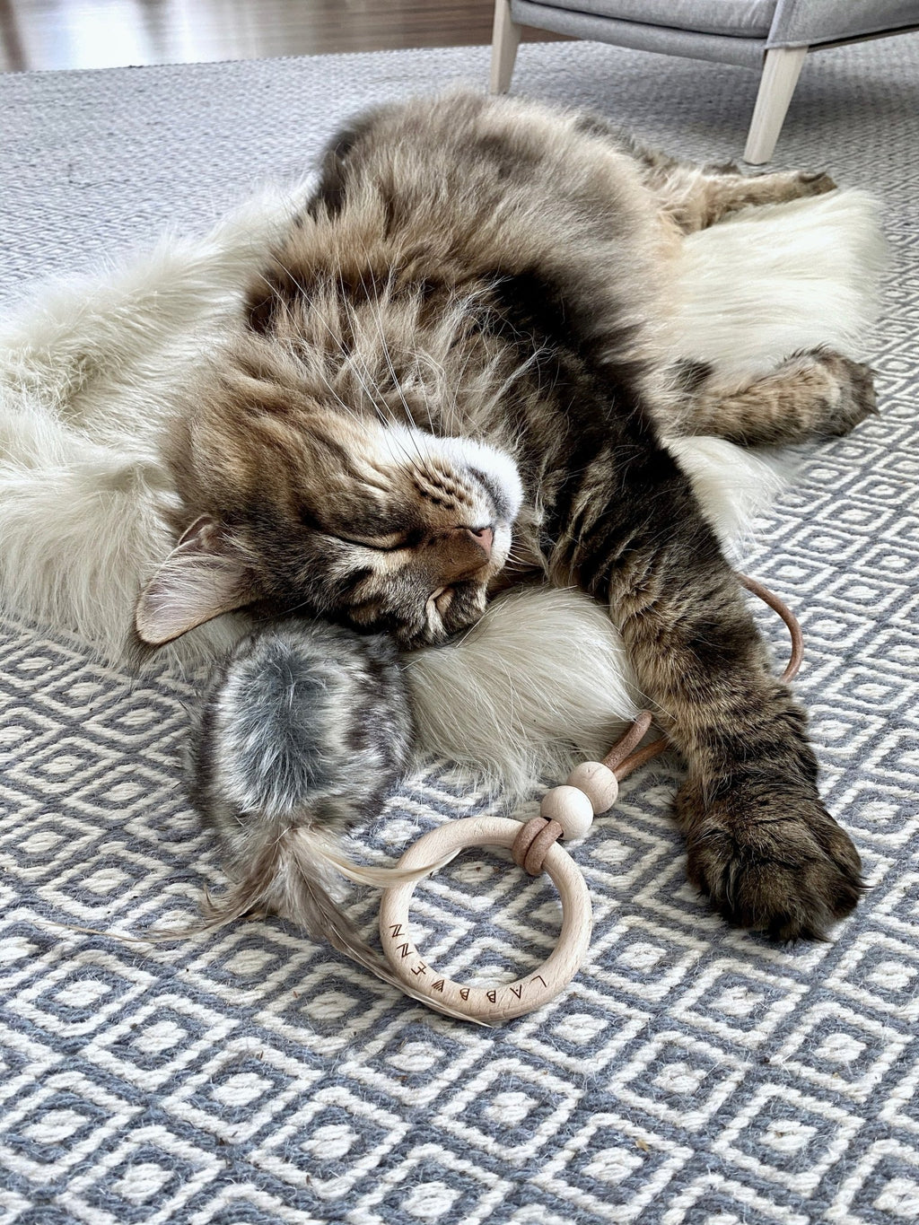 Föra | Couverture blanche, double face douce et chaude pour chat - Jean - Poil - Blanc
