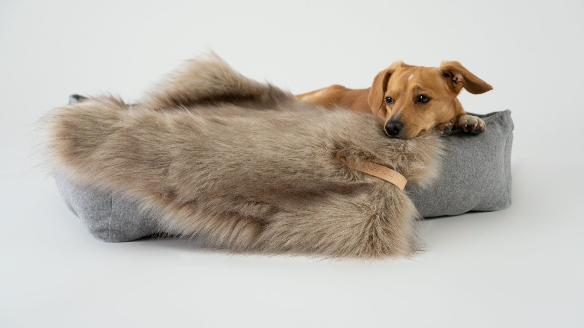 Föra | Couverture greige double face douce et chaude pour chien - Jean - Poil - Greige