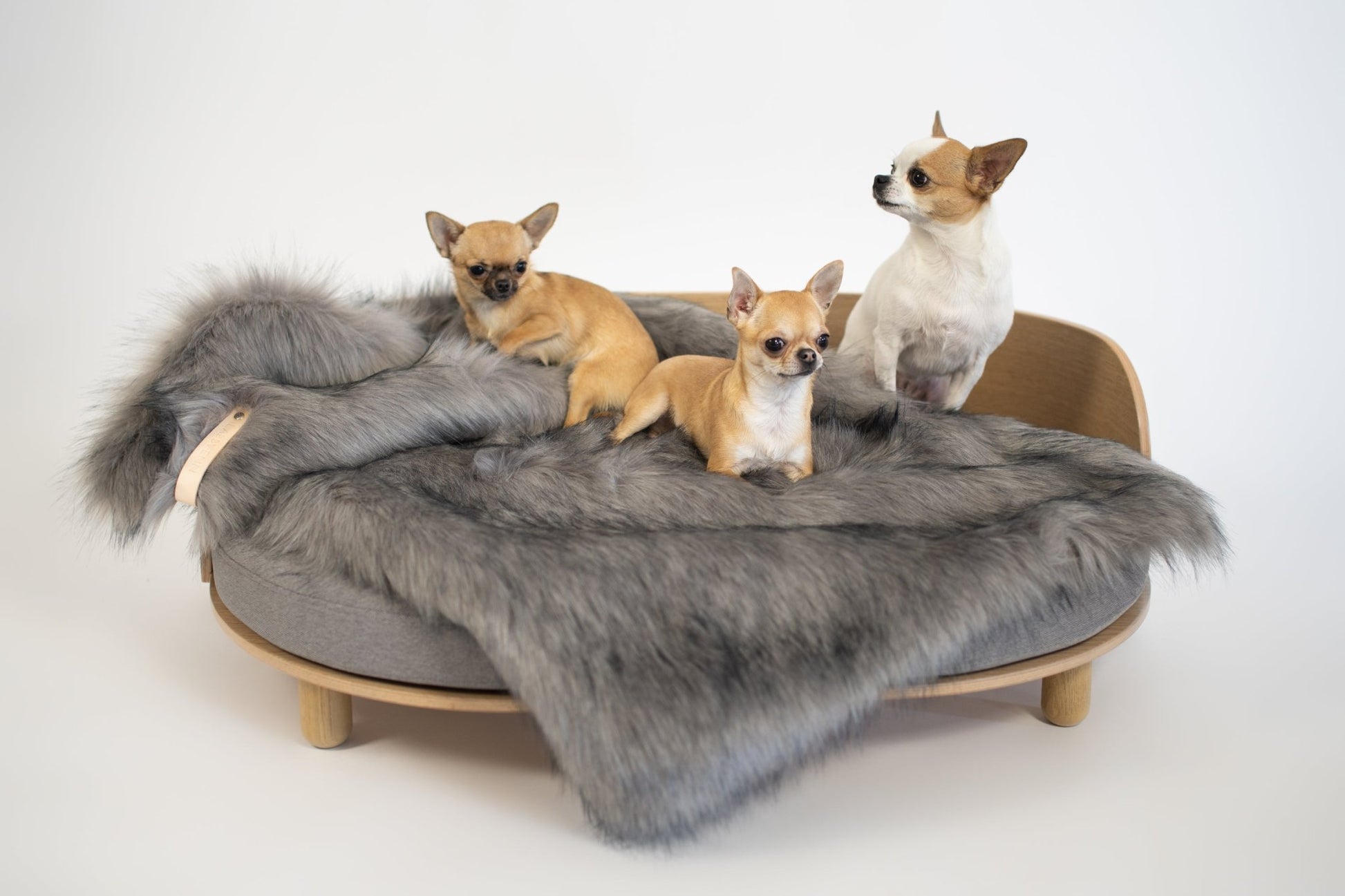 Föra | Couverture greige double face douce et chaude pour chien - Jean - Poil - Greige