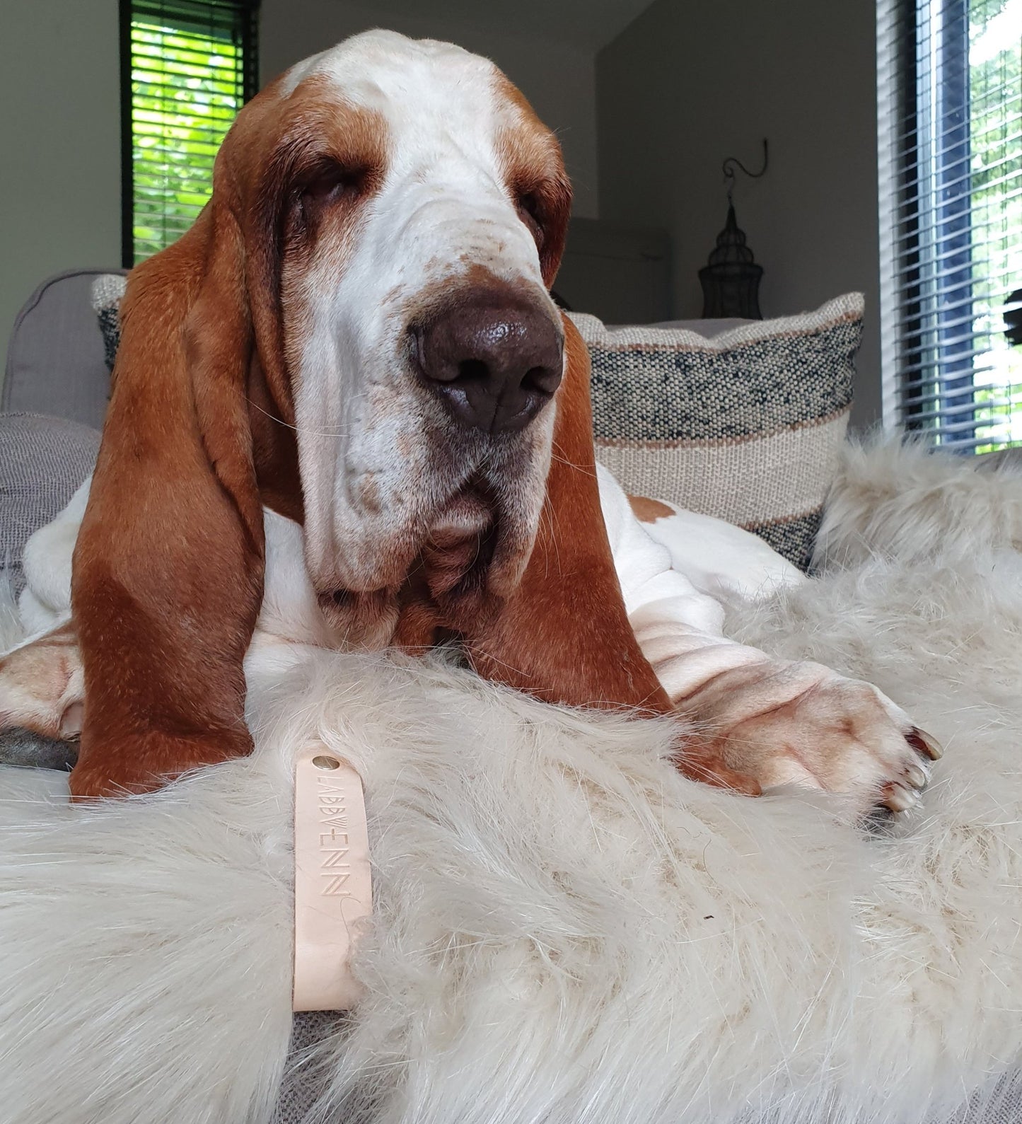 Föra | Couverture greige double face douce et chaude pour chien - Jean - Poil - Greige