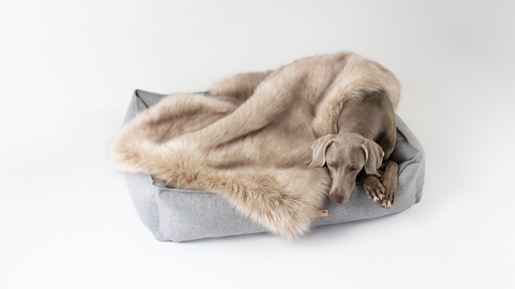 Föra | Couverture greige double face douce et chaude pour chien - Jean - Poil - Greige