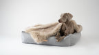 Föra | Couverture greige double face douce et chaude pour chien - Jean - Poil - Greige