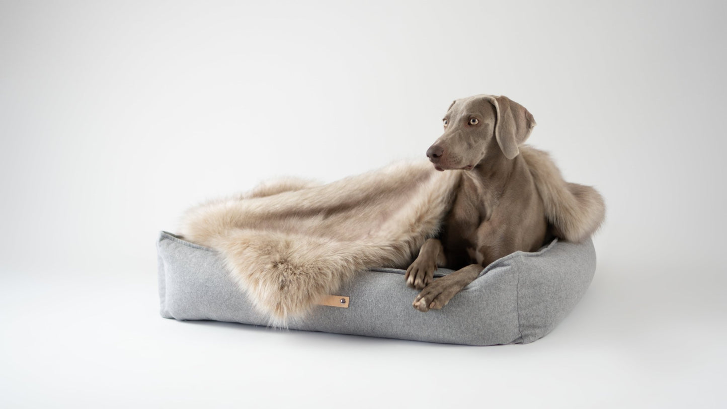 Föra | Couverture greige double face douce et chaude pour chien - Jean - Poil - Greige