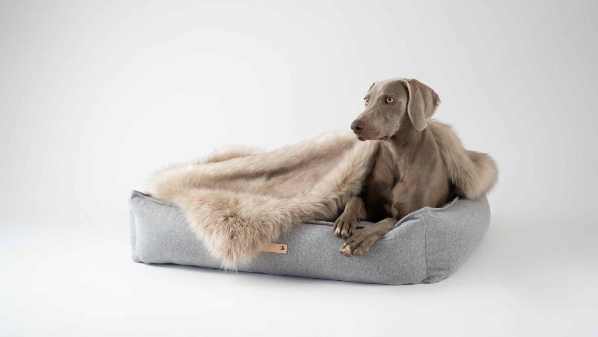 Föra | Couverture greige double face douce et chaude pour chien - Jean - Poil - Greige