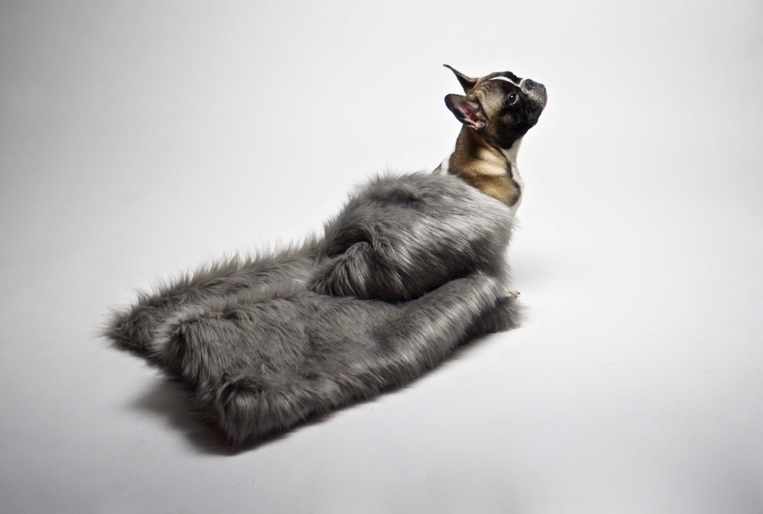 Föra | Couverture greige double face douce et chaude pour chien - Jean - Poil - Greige